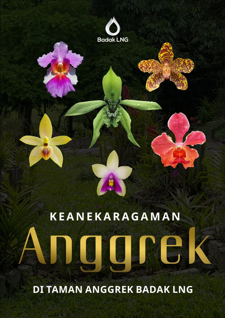 Orchid Diversity in Badak LNG Orchid Park