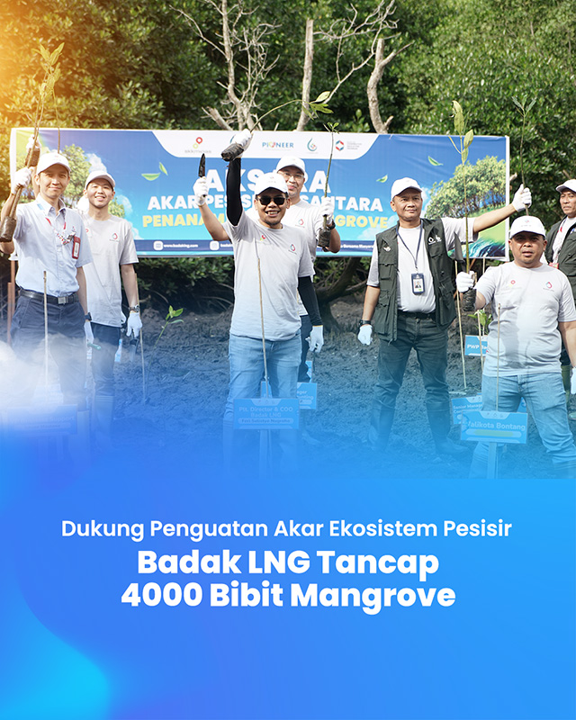 Dukung Penguatan Akar Ekosistem Pesisir, Badak LNG Tancap 4000 Bibit Mangrove