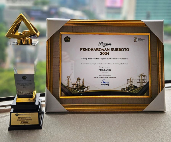 Penghargaan Subroto